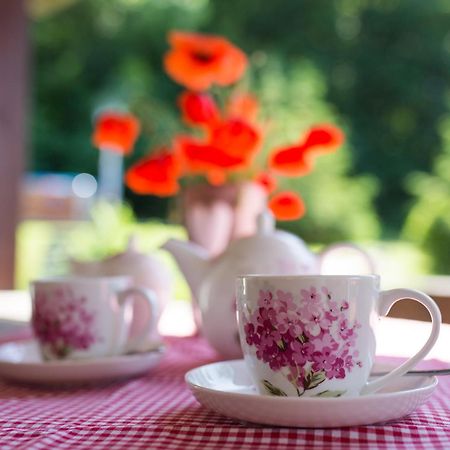Krzeszna Gosciniec Malinowka Bed & Breakfast エクステリア 写真