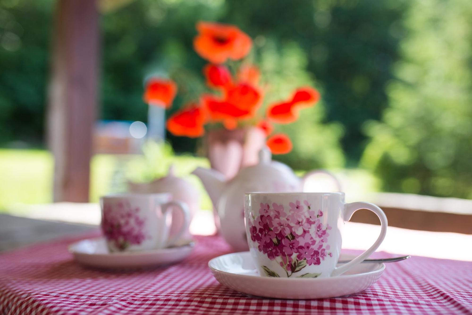 Krzeszna Gosciniec Malinowka Bed & Breakfast エクステリア 写真